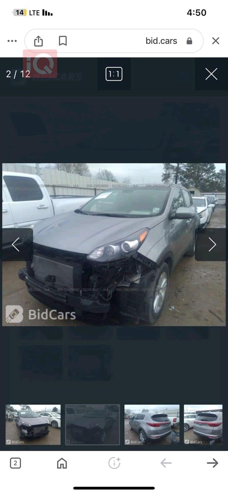 كيا سبورتاج